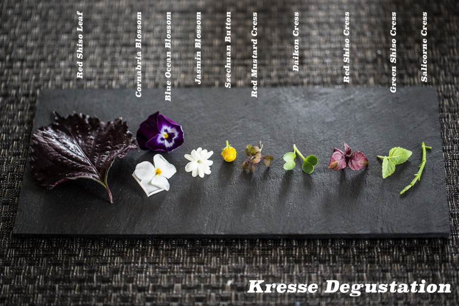 Amuse Bouche einmal anders